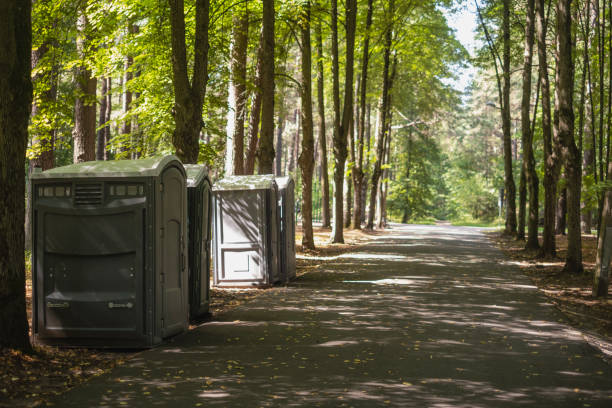 Professional Tree Removal in Sparkill, NY