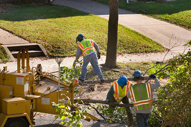 Best Firewood Processing and Delivery  in Sparkill, NY